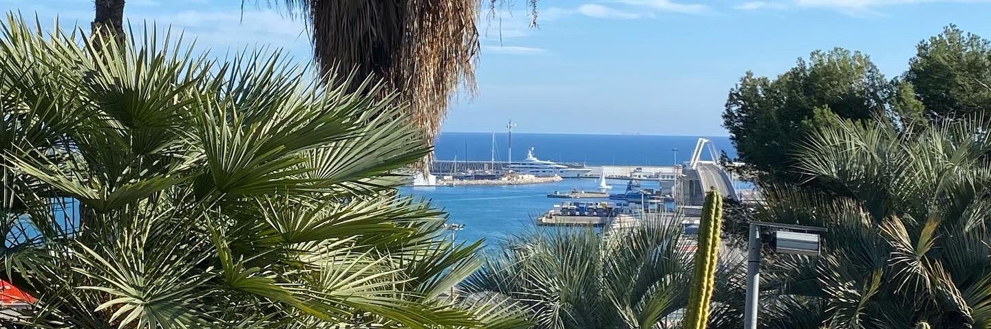 Marisol Crousillat 💙 banner