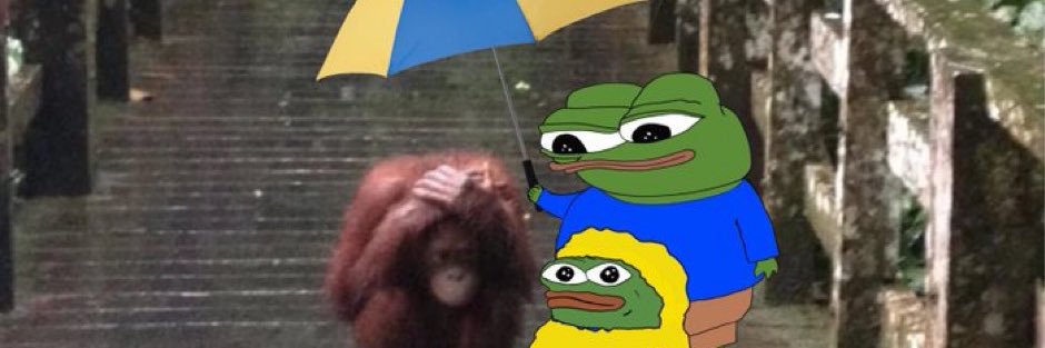 r banner