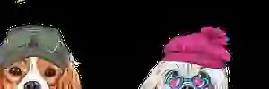 LisaRareart's profile banner image