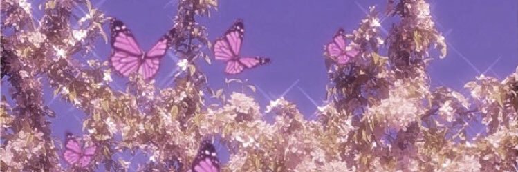 rileyymclean's profile banner image