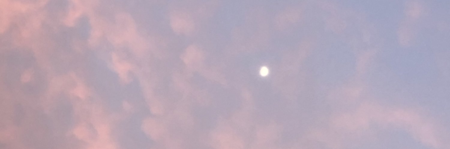 barbara_rl_'s profile banner image