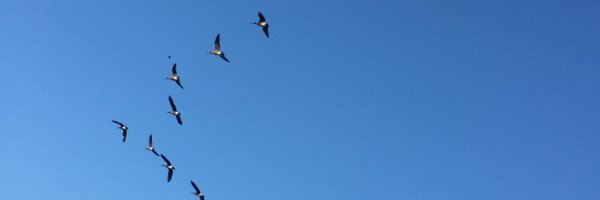 Tavysingh Profile Banner