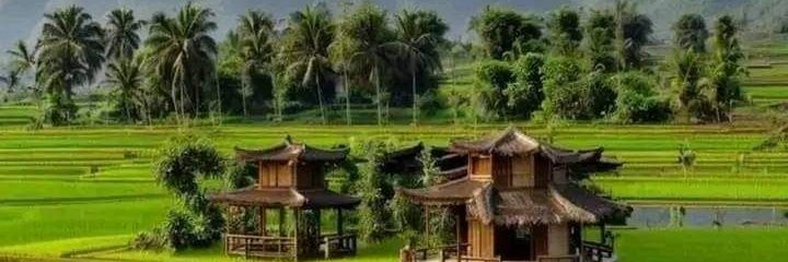 rahardyanaldi's profile banner image