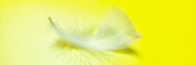 donguri_244's profile banner image