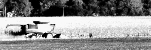 keithborer Profile Banner