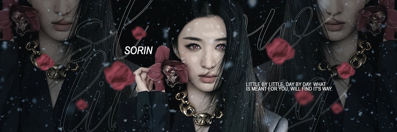 sorin. banner