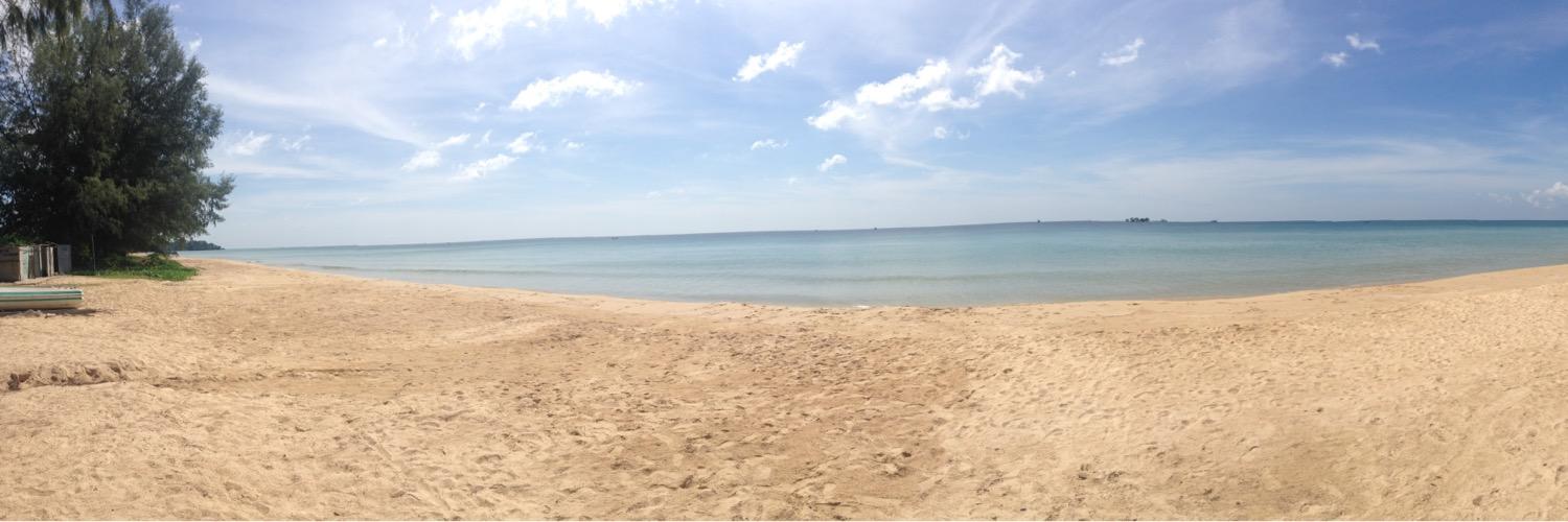 Aleisha Jennings banner