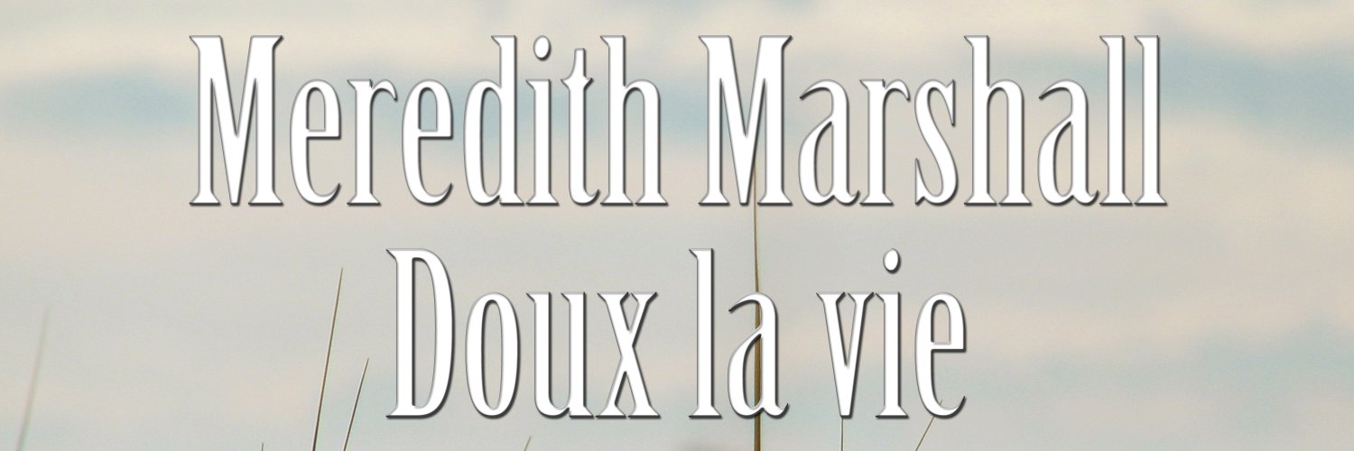 Meredith Marshall banner