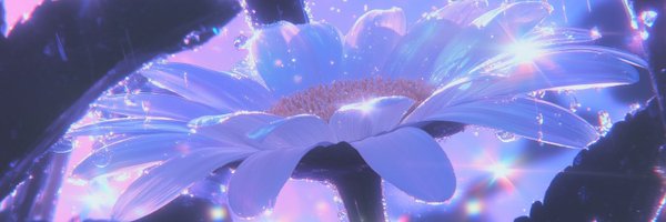 reccexd Profile Banner