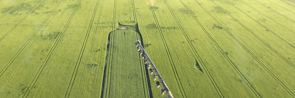 Michelle Colgrave banner