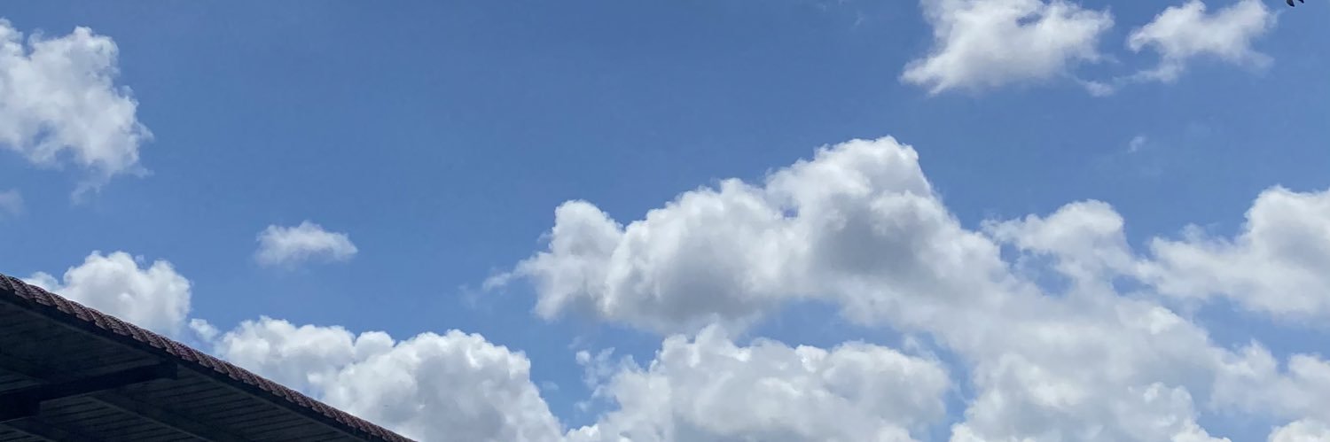 ellurvee's profile banner image