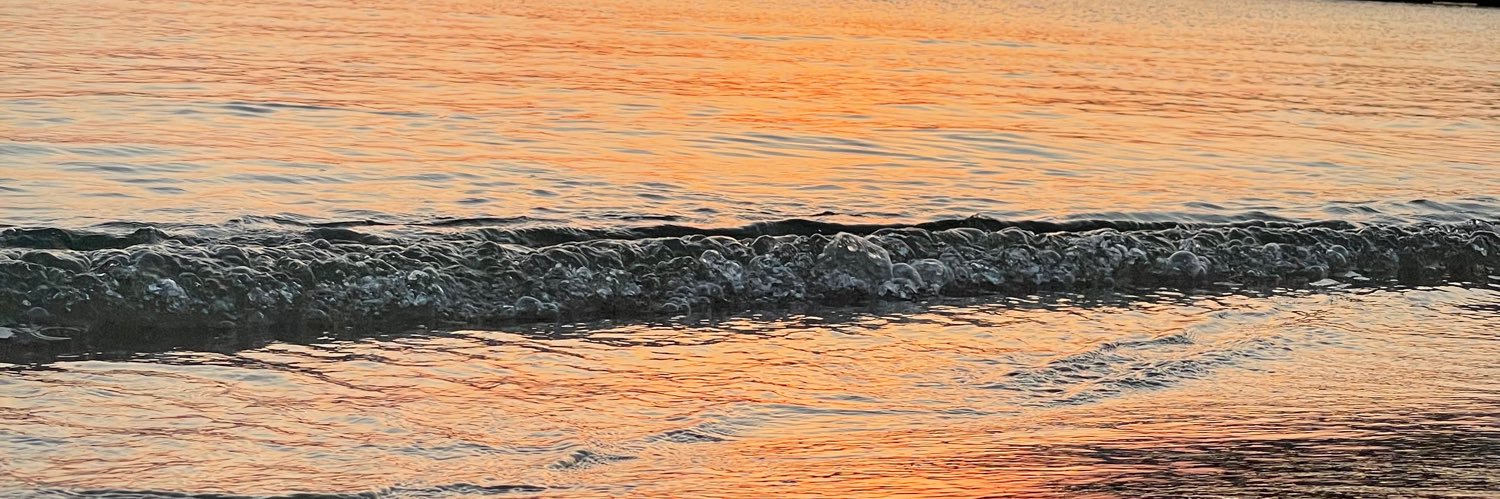 secilesgunoglu's profile banner image