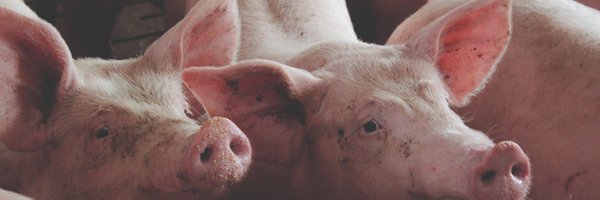 AlistairDriver Profile Banner