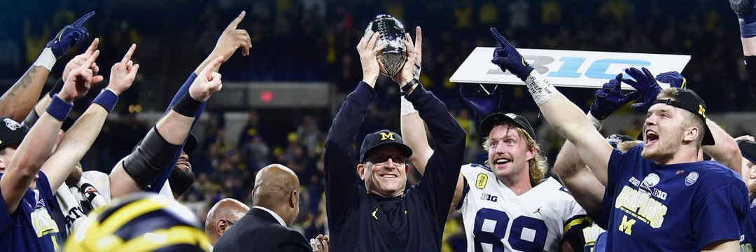 〽️ichigan Nation banner