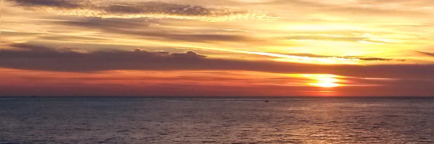cyecoaching's profile banner image