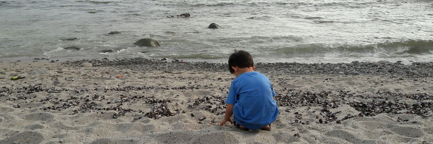 Marce🇦🇷 banner