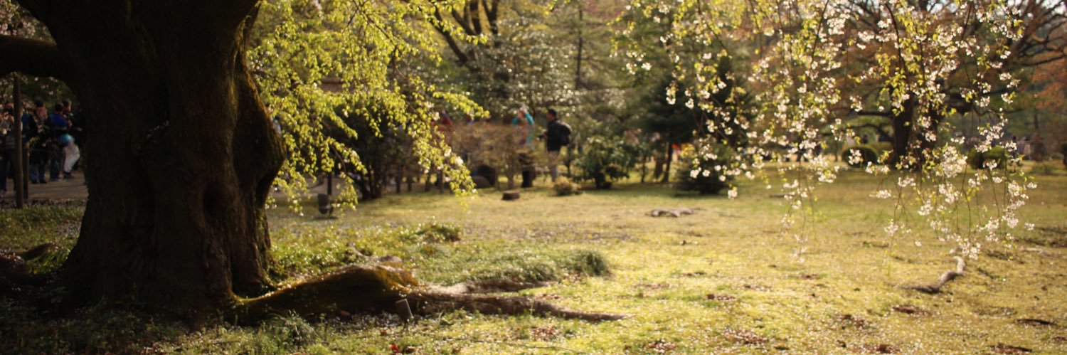 na7chu_4's profile banner image