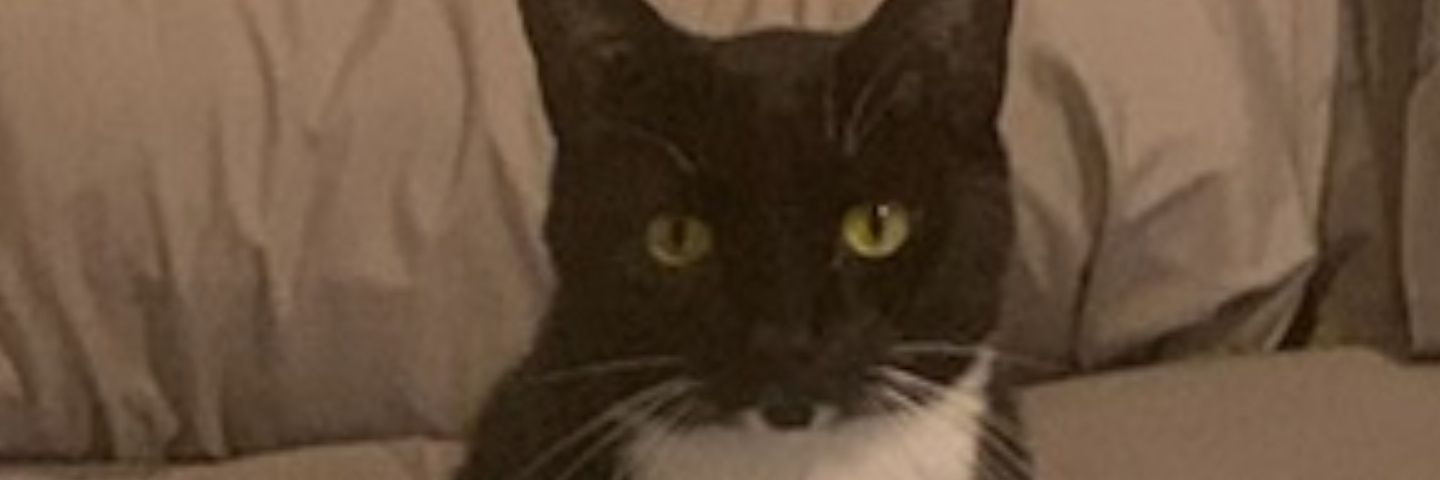DrewWMason's profile banner image