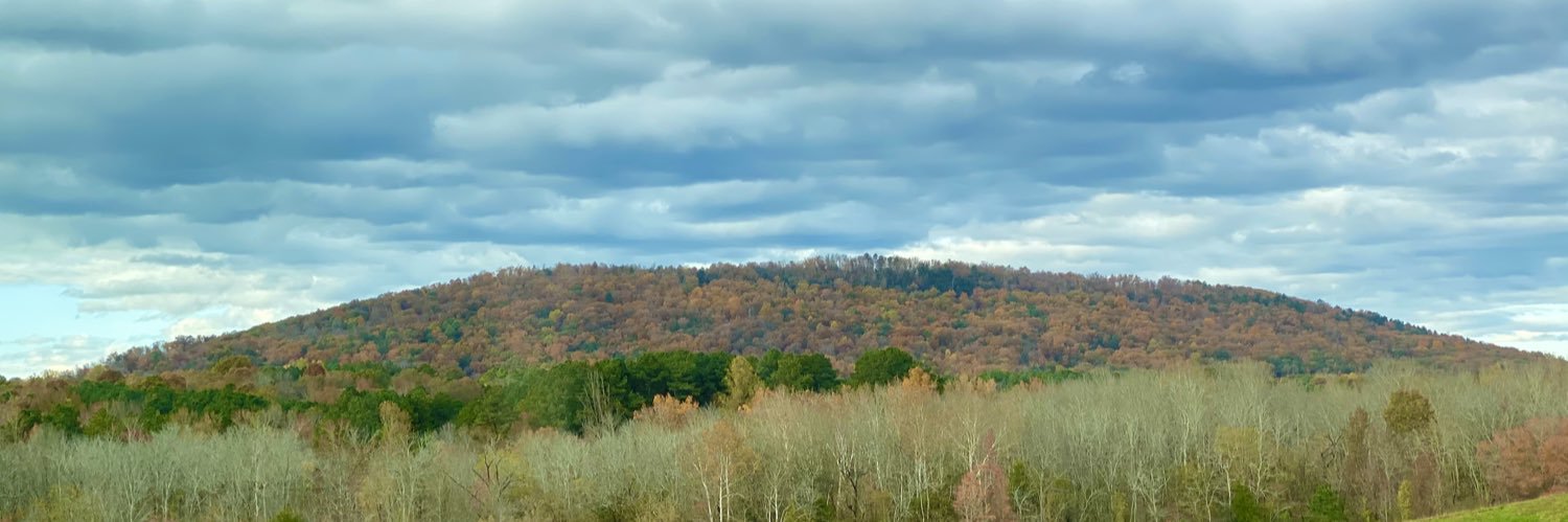 laurenmccay's profile banner image