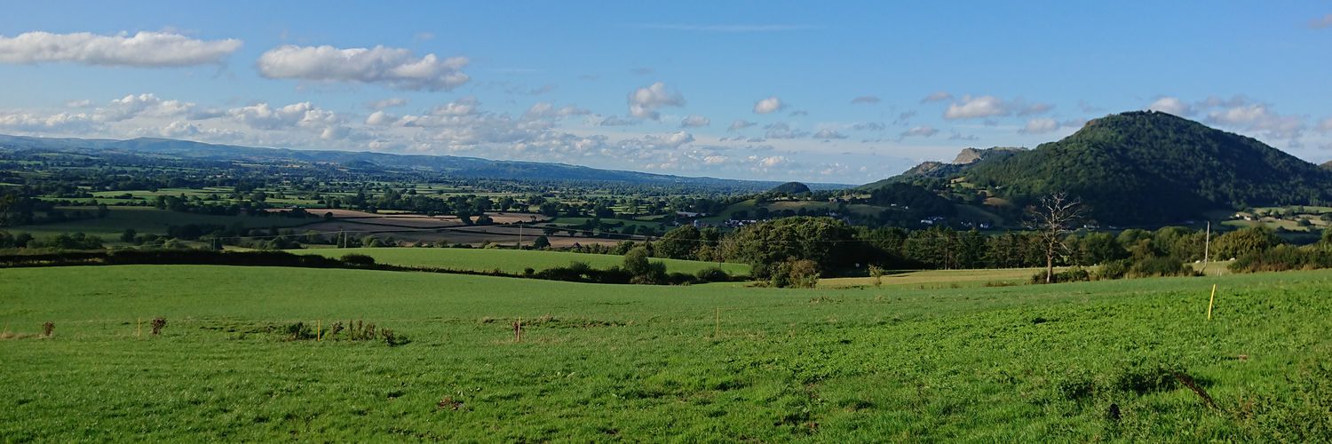 heidi_rowlands's profile banner image