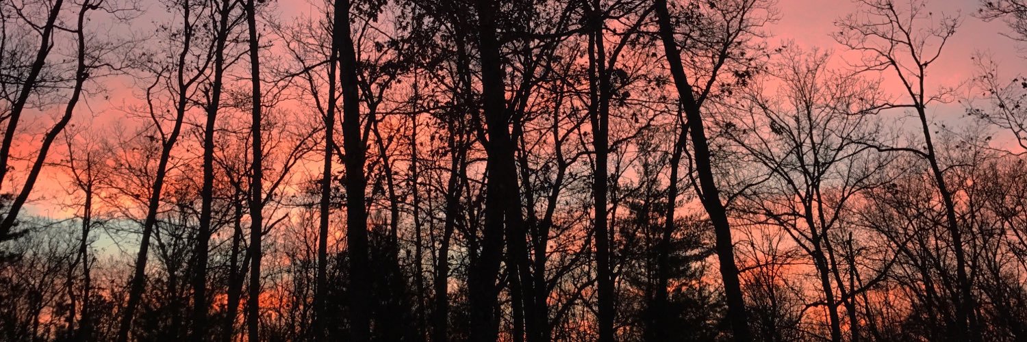 JessicaPerrigan's profile banner image