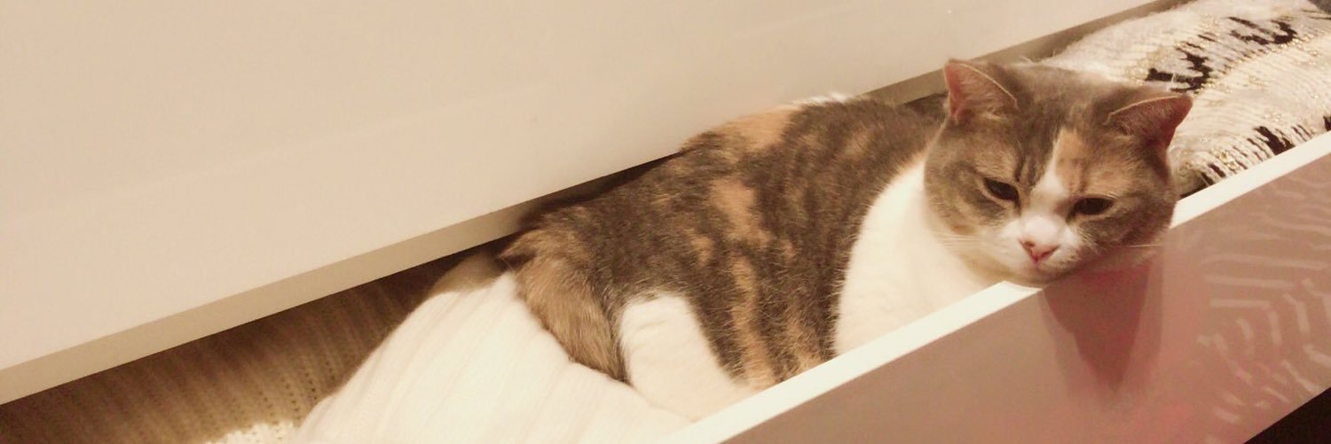 FakeTakaMina's profile banner image