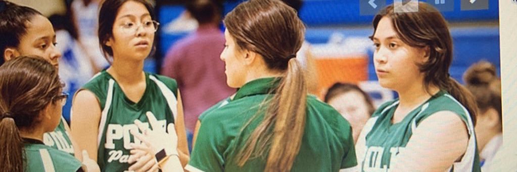 Marliss Allen banner