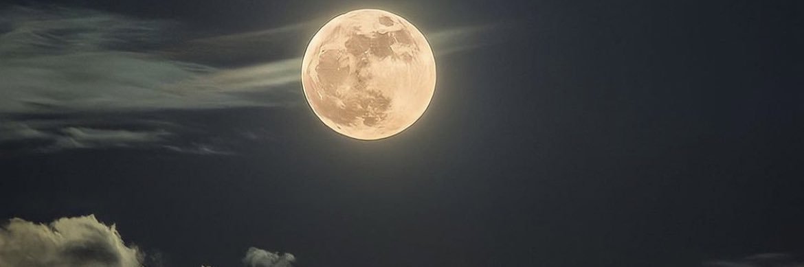 amazingpamelaa's profile banner image