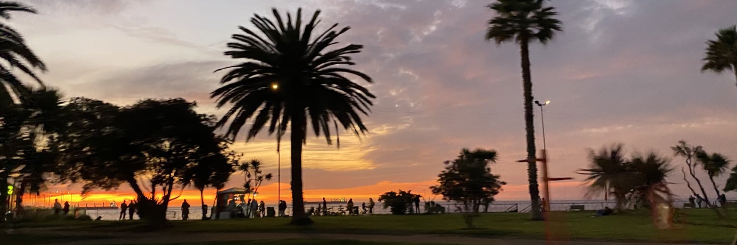 carolanstwitt's profile banner image