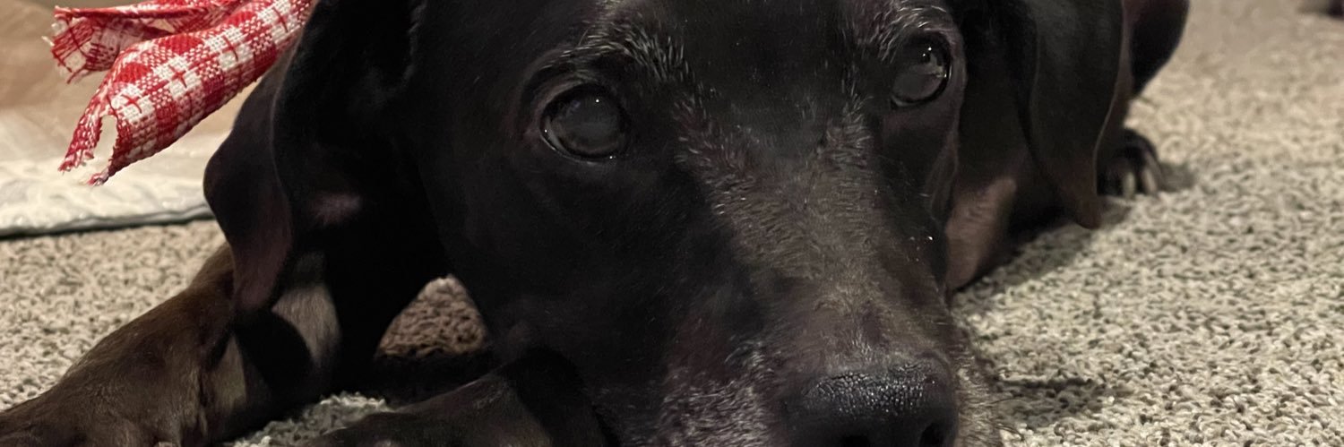 Jason Kamlowsky banner