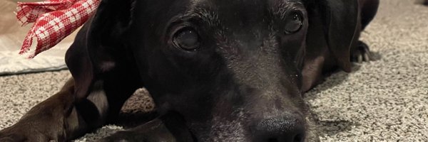 JasonKamlowsky Profile Banner