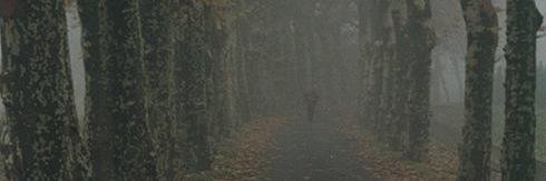 i_mixe's profile banner image