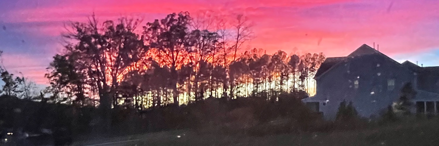 flewdacooptoo's profile banner image