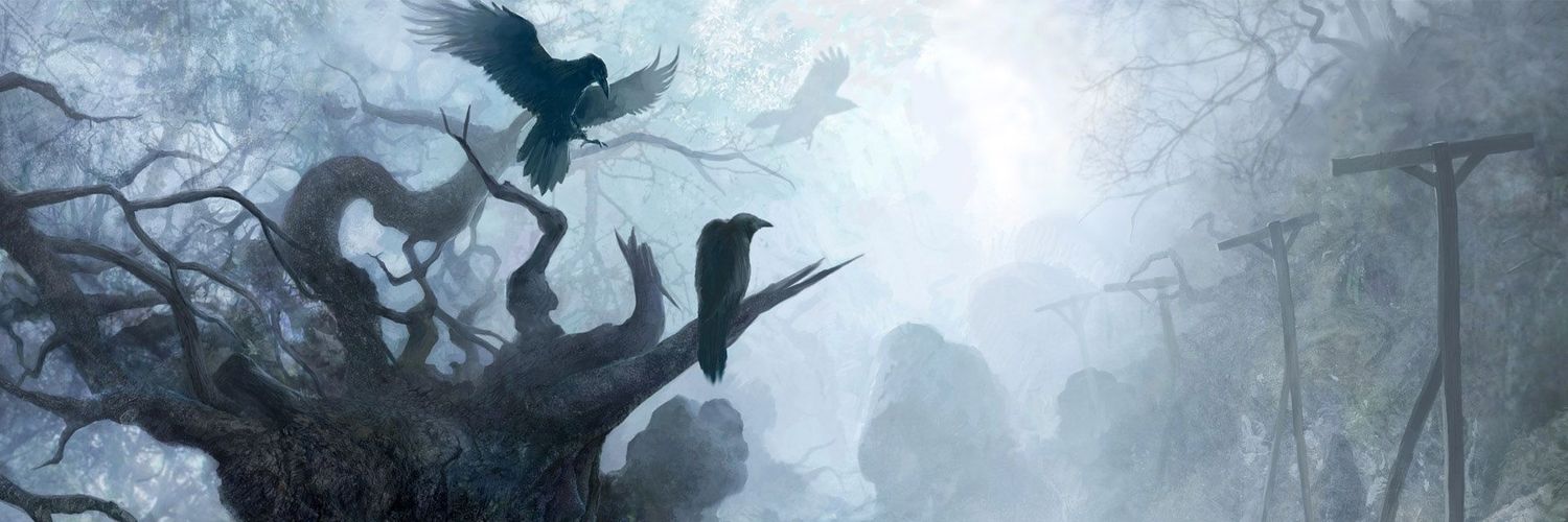 Raven banner