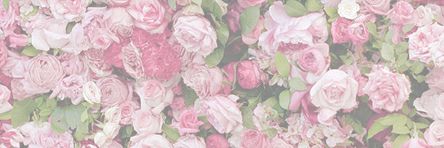 AyeeelenB's profile banner image