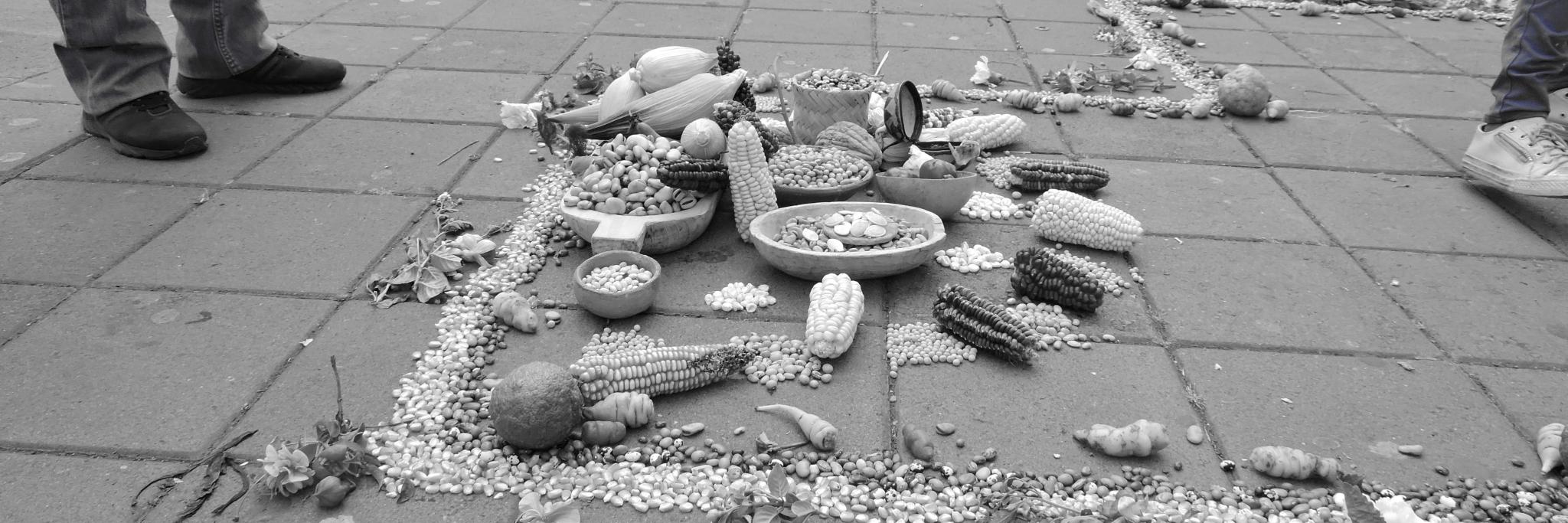 David Acurio Páez banner