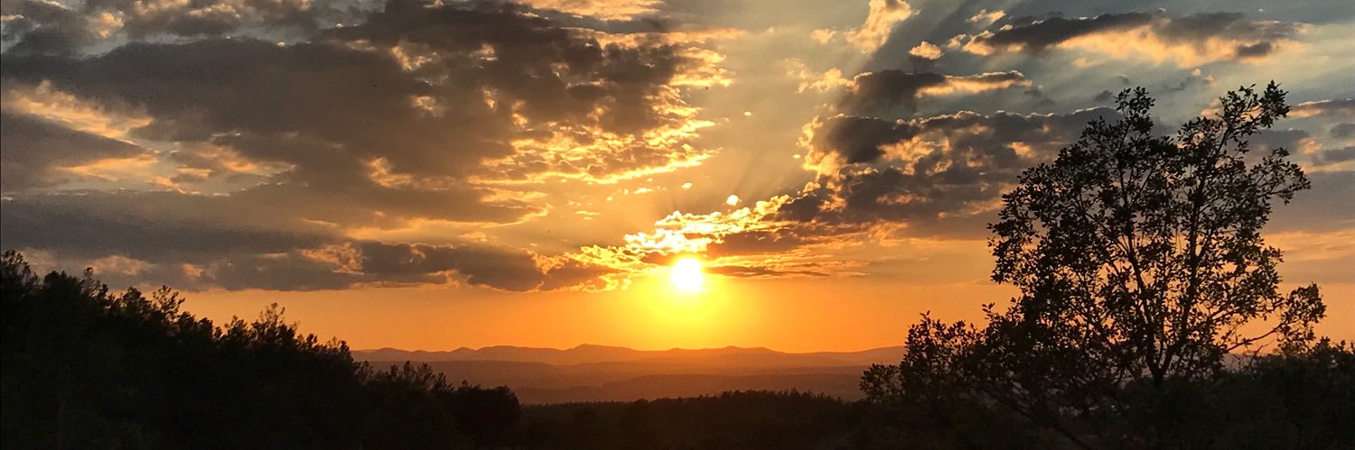 Esther García-Domínguez banner