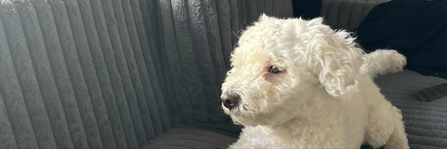 MichelleExtraa's profile banner image