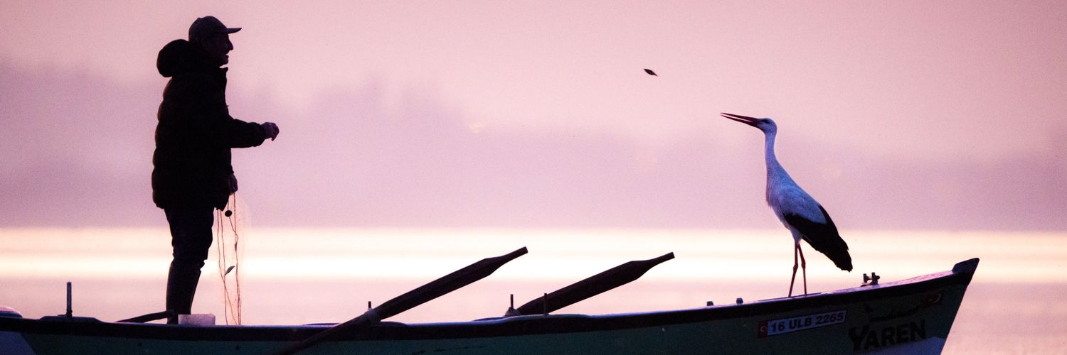 vedaasl's profile banner image