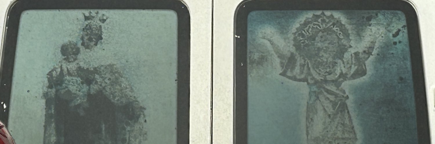si_RNA_'s profile banner image