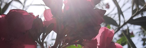 cosmo_sat Profile Banner