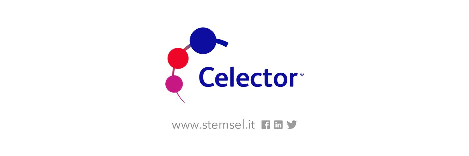StemSelSrl's profile banner image