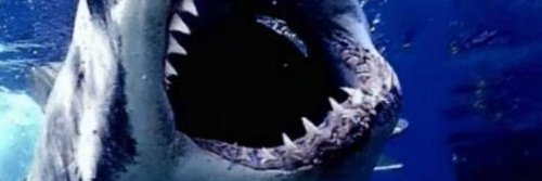 Khranintel's profile banner image