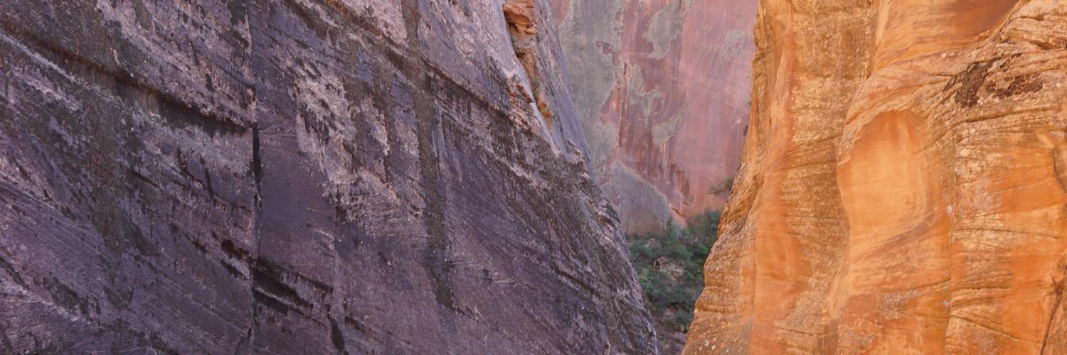 vickivolper's profile banner image
