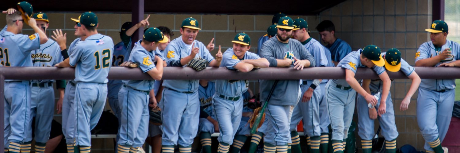 Kearns Baseball banner