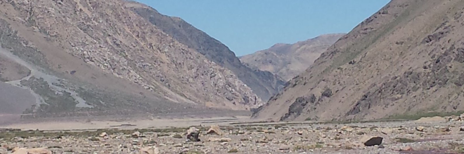 pribbag's profile banner image