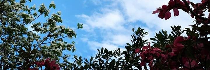 takaADFP's profile banner image