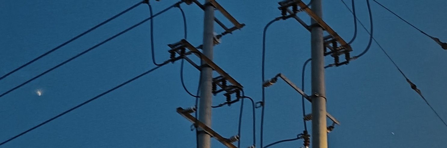 不拿拿面包 banner