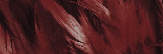 kira🗿 banner