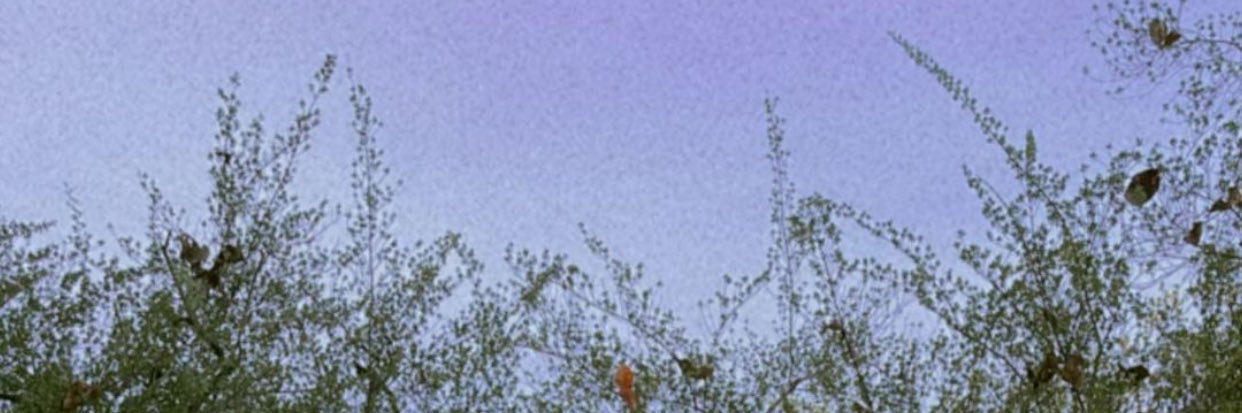 . 🤍youarelovely banner